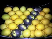 Лимоны с Турции с первых рук