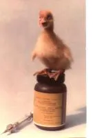 Вакцина против энтерита гусей 90 доз