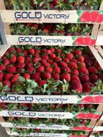 Truskawka Grecka Viktoria
